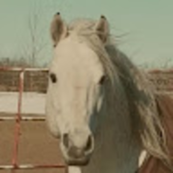 Meet your Posher, Laurel - Picture 1 of 1